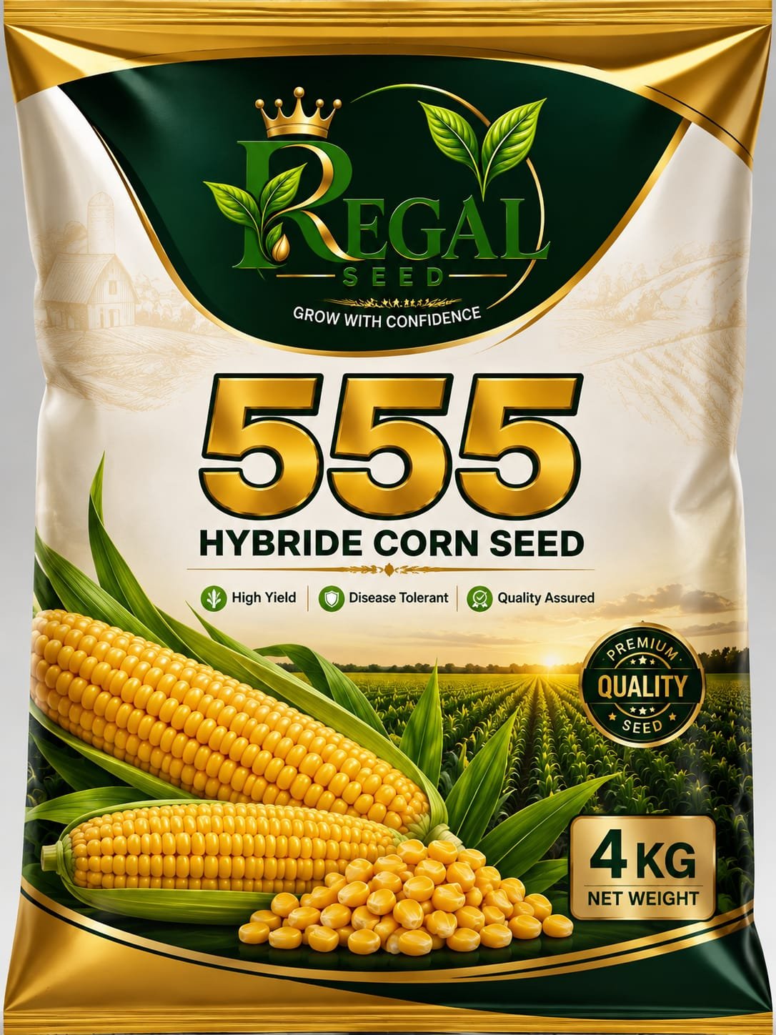 Maize Seeds