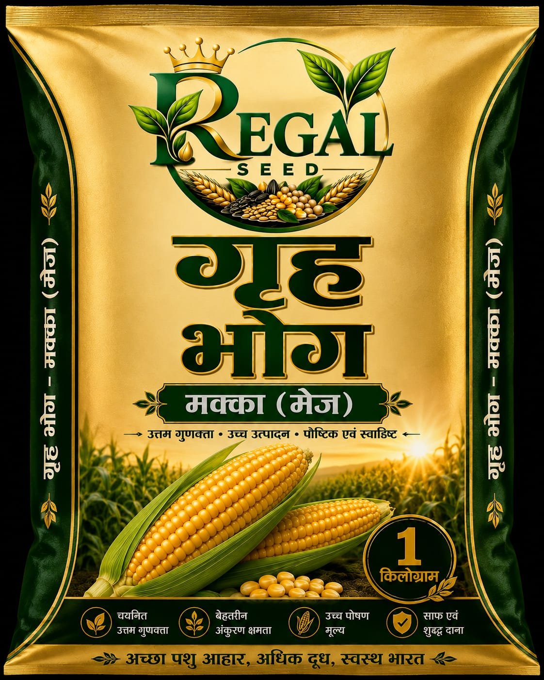 Maize Seeds