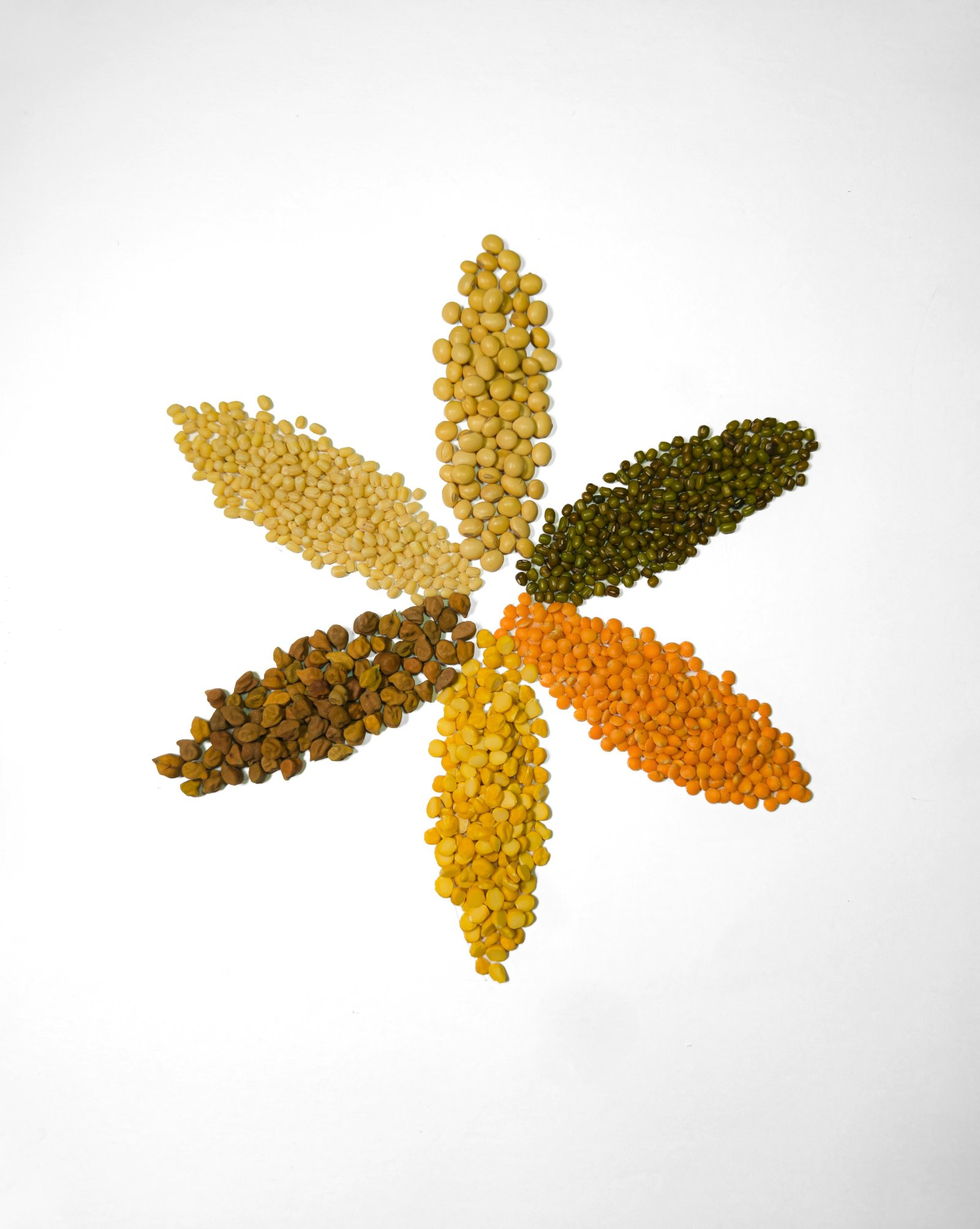 Pulses seeds