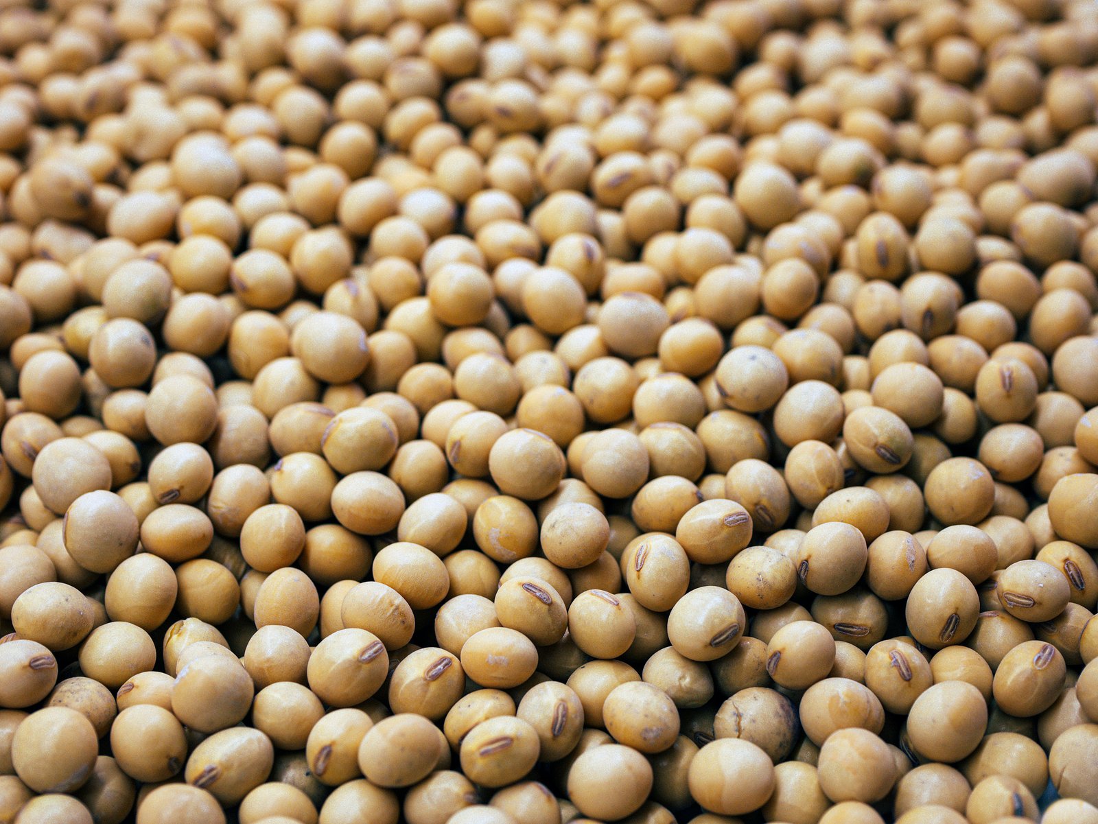 Quality seeds